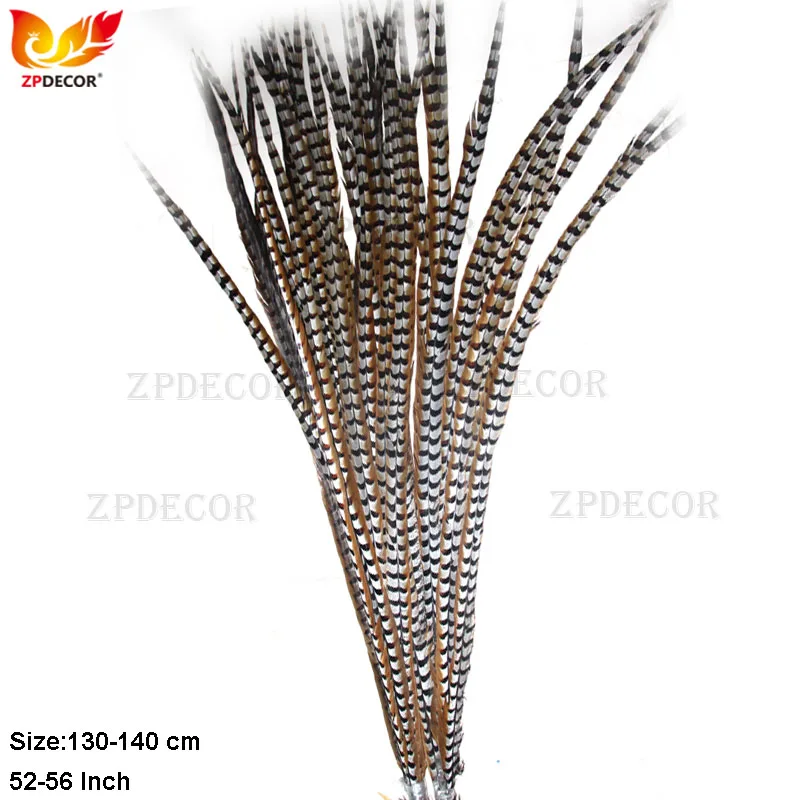 ZPDECOR ريش ذيل الدراج الطبيعي 130-140 سم / 52-56 بوصة للحرف اليدوية