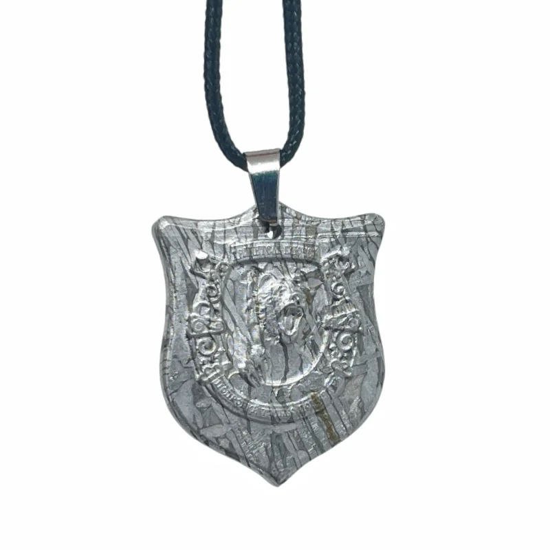 Muonionalusta Meteorite Slice Pendant Shield Carved Wild Beast Head Natural Iron Meteorite Necklace Collectible - LK322