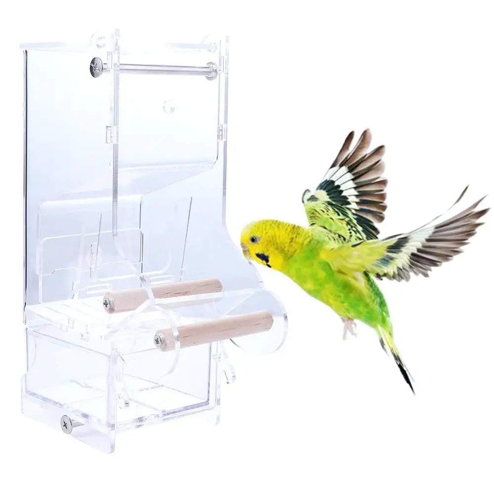 Bird Feeders Acrylic Easy to Install Transparent Automatic Parrot Food Dispenser Pet Birds Feeding Devices