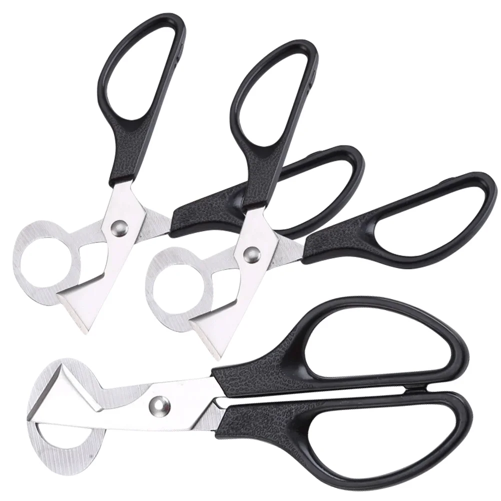 3 Pcs Quail Egg Scissors Open Tools Kitchen Shell Portable Manual Small Shears Stainless Steel Eggshell Opener Cutting