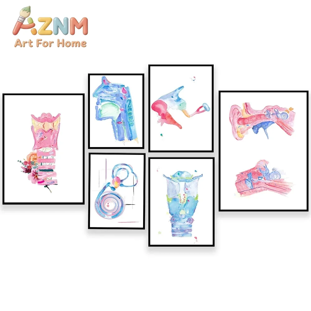 AZNM Watercolor Human Ear Nose Throat Anatomy Canvas Wall Art Medical Science Print Poster for Clinic Office Home Wall Decor
