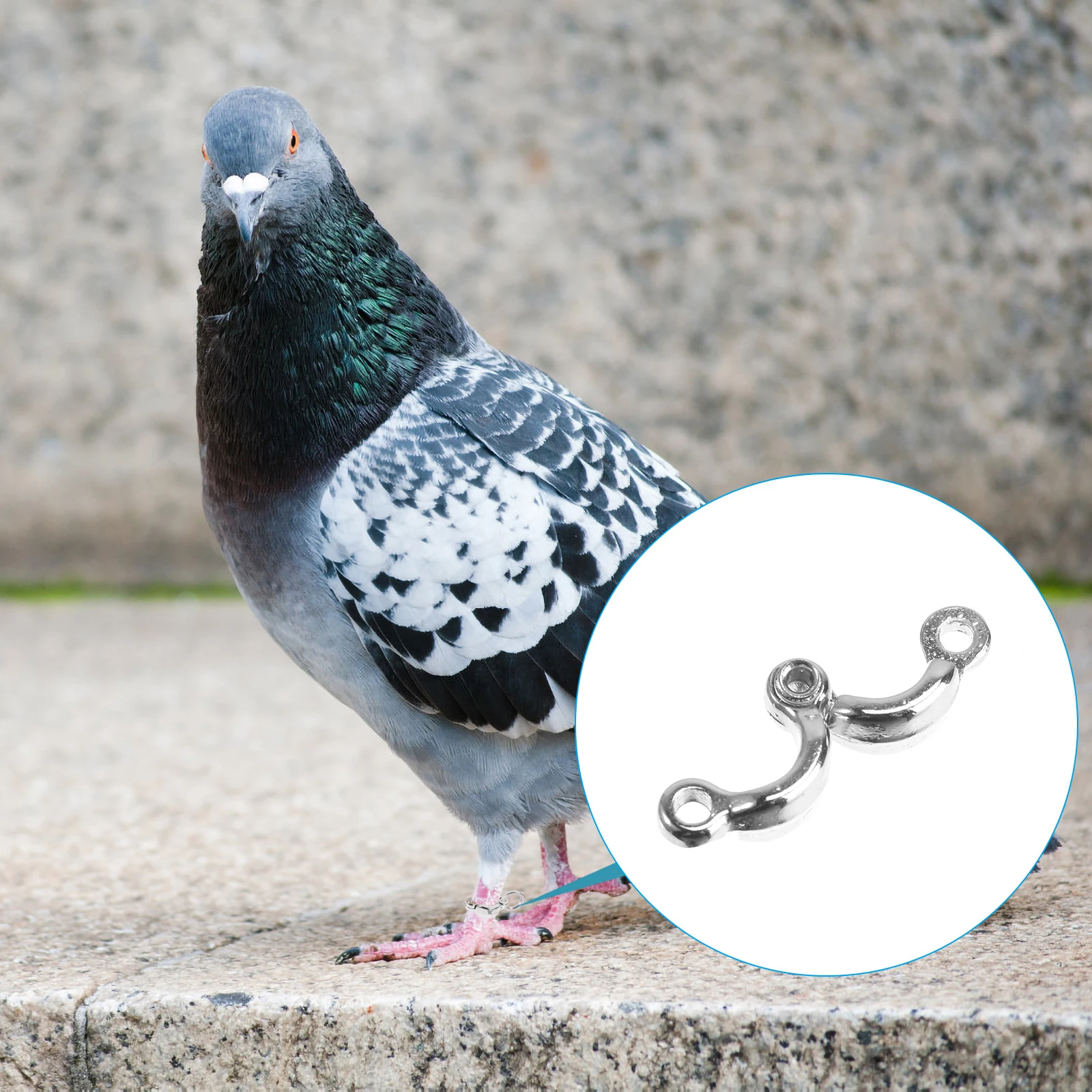 

Stainless Steel Leg Rings Bird Foot Chain Supplies Birds Training Parrots Opening Clips Shape