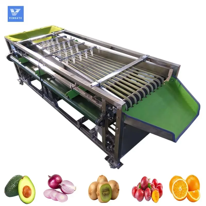 Customized  Electronic Tomato Potato Onion Mango Apple Orange Size Optical Sorting and Grading Machine for Fruit Vegetable