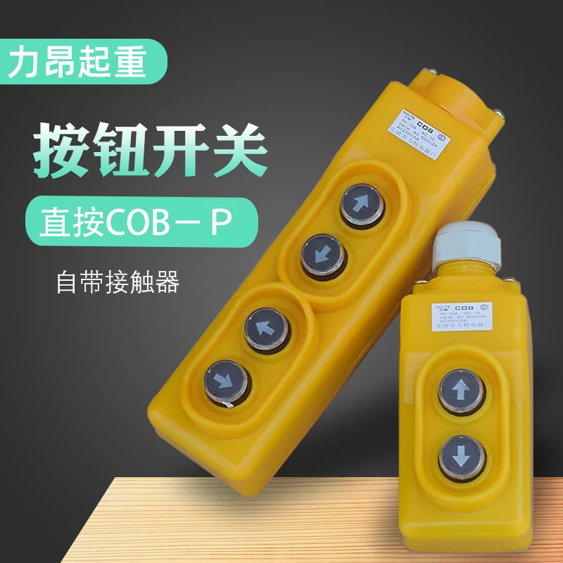 COB rainproof crane with direct control button switch micro electric hoist 21P/22P Lite Electric Appliances