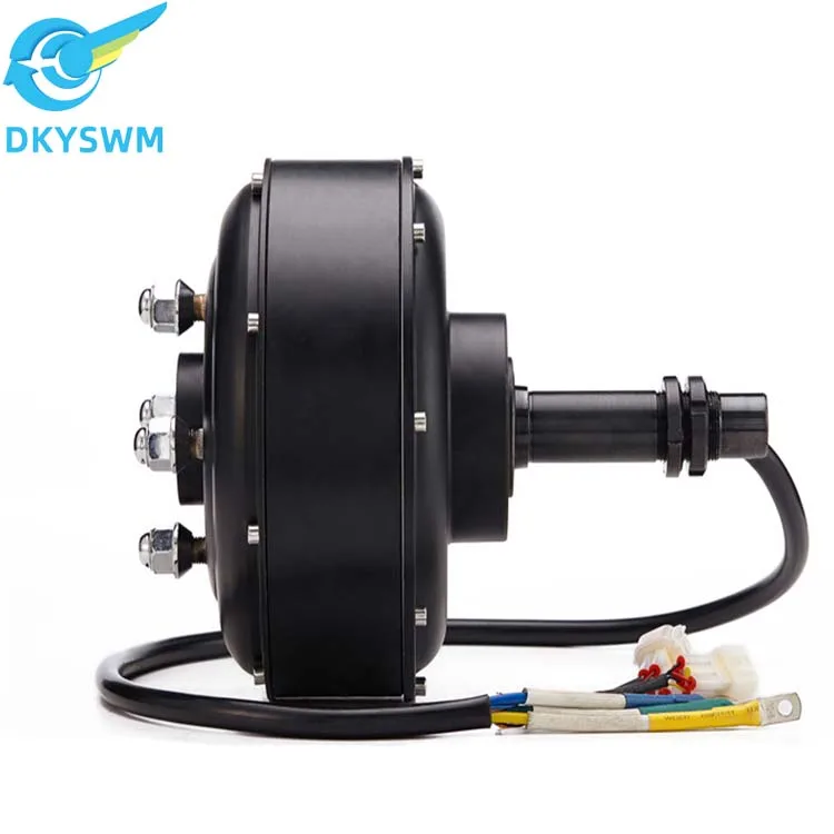 Custom brushless DC motor 12