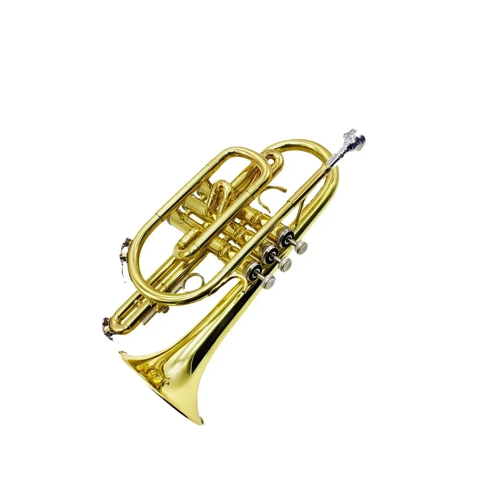 

Hooqu Lacquer Gold Cornet Bb Tone Brass Cornet Professional Blow Instrument Professional Performance