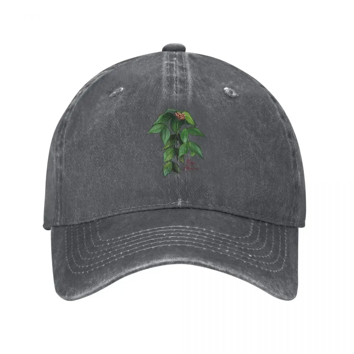 Gorra de béisbol Hoya polyneurain, gorra de marca para hombre, sombrero de Anime, gorras en oferta, gorras para hombre y mujer
