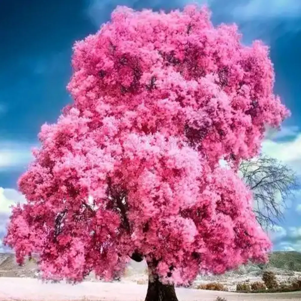 

6 Color PFI-102 PFI102 260ml Refillable Ink Cartridges For Canon iPF500 iPF510 iPF600 iPF605 iPF610 iPF700 iPF710 iPF720 Printer