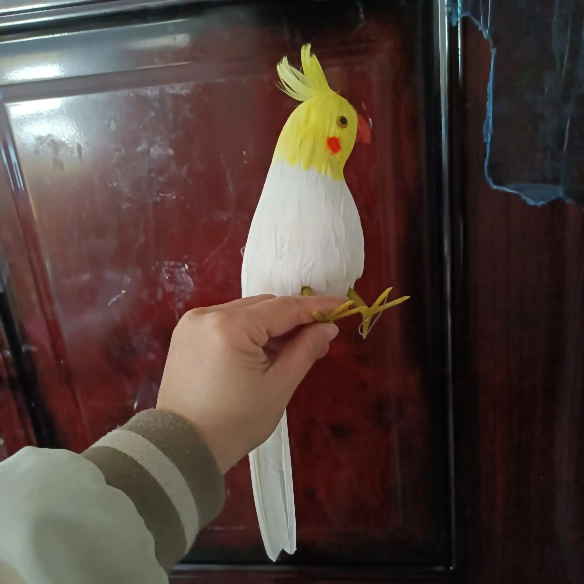 Simulación de espuma y pluma de loro blanco, modelo de decoración para el hogar y el jardín, regalo de aproximadamente 32cm p2667