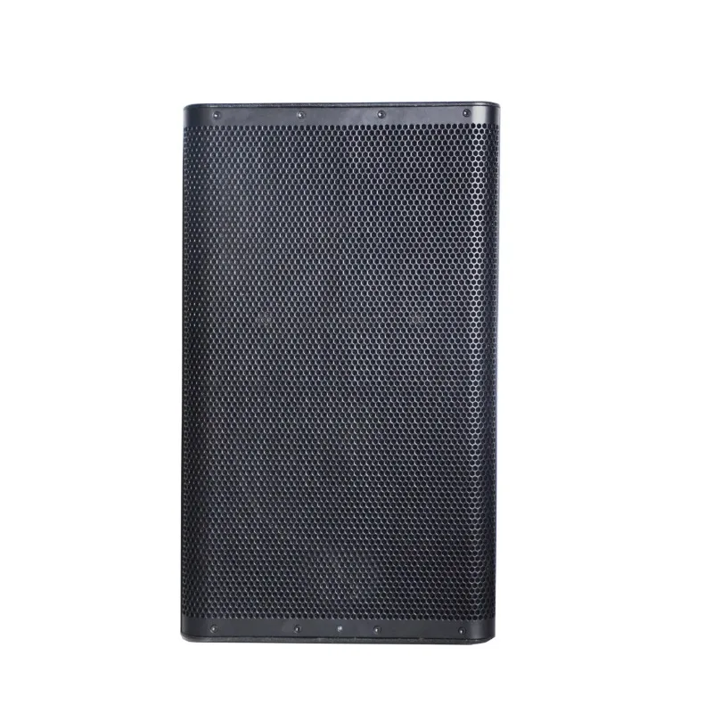 Accuracy Pro Audio CAU15ADA 500W RMS 2-way dual amplifier system 15-inch active speaker, professional active speaker