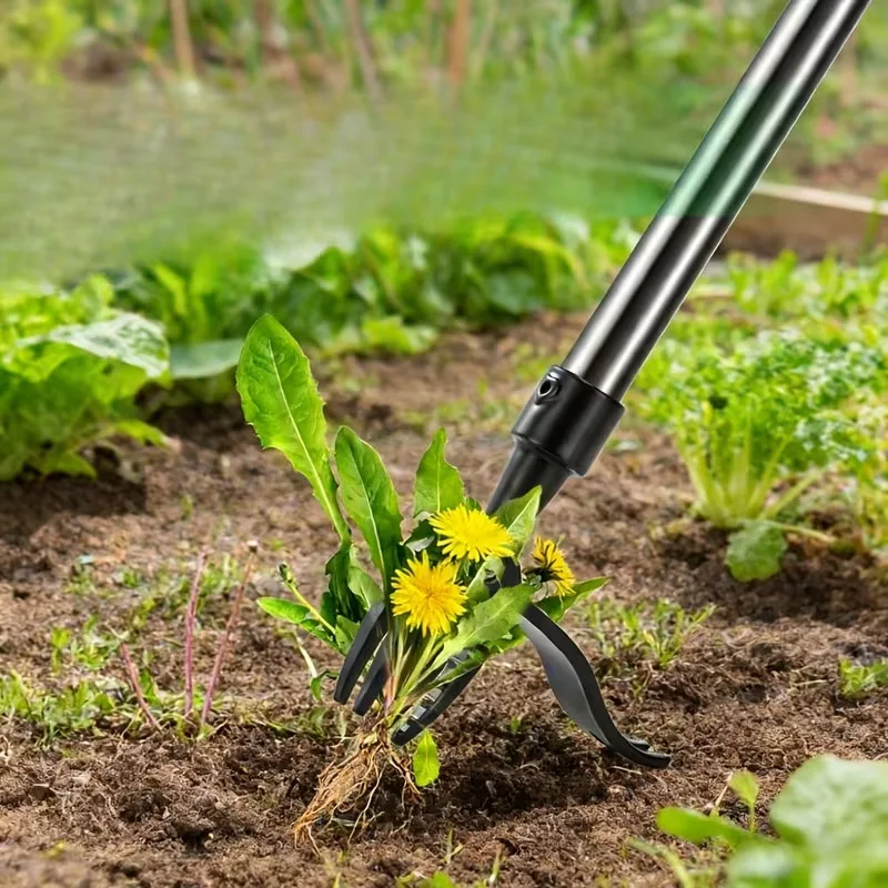 Standing weeder Manual weeder Rooter Removable garden weeder weed remover