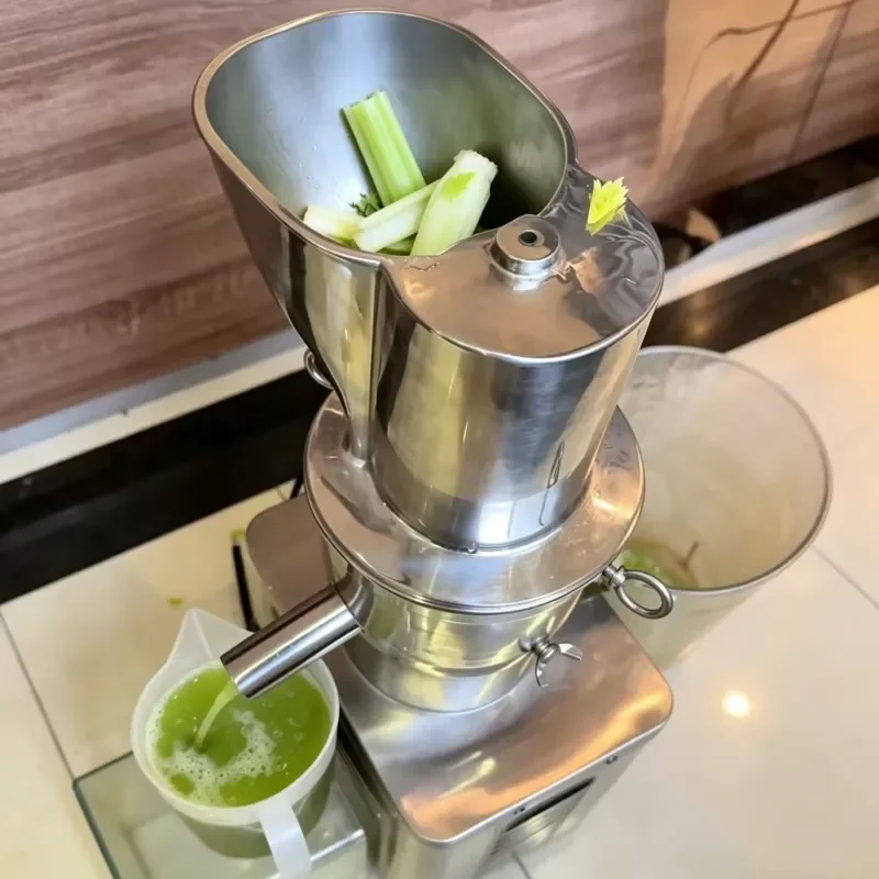 1200W Commercial Stainless Steel Juicer Heavy Duty Fruit Vegetable Extractor with Pulp Separator for Juice Bar Restaurant