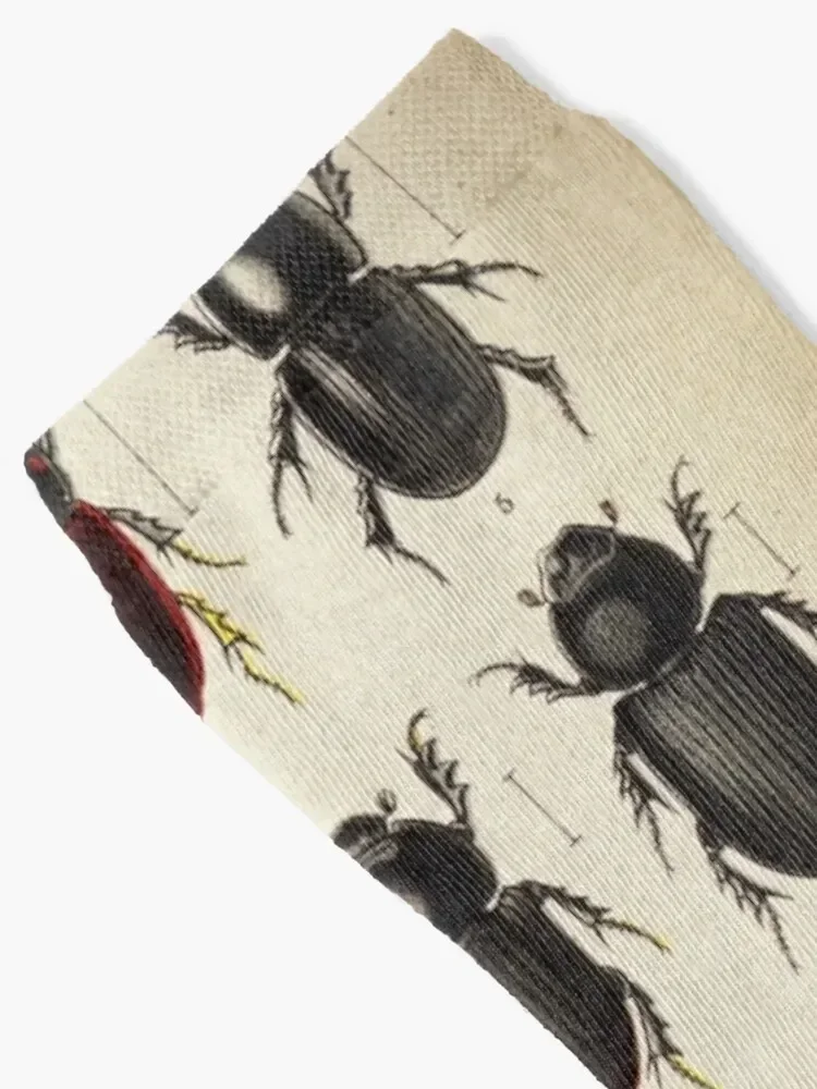 Beetle Chart, entomology Socks japanese fashion ankle Hiking boots Socks Men's Women's