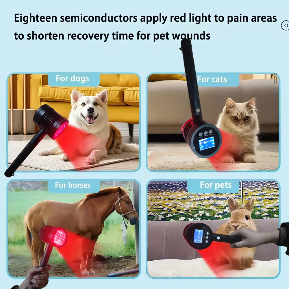 

Ветеринарный лазер класса IV высокой мощности 808 нм 5 Вт для терапии и облегчения боли в кошацах, собаках, лошадей