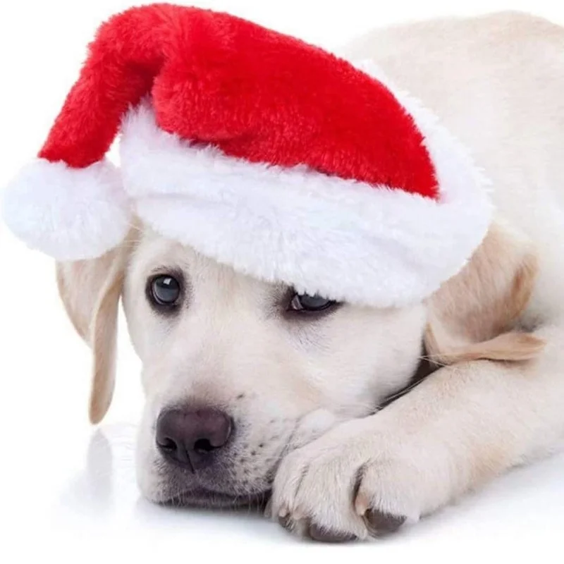 Santa Hat Christmas Pet Hat For Cat Dog Puppy Xmas New Year Party Decoration Supplies Soft Warm Comfortable Photo Prop Costume