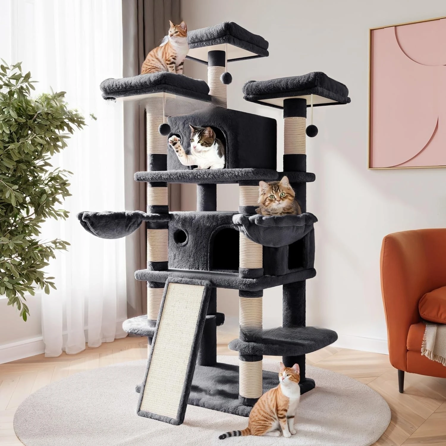

Cat climbing frame, integrated for big cats, occupies a small cat nest