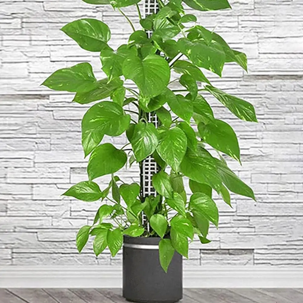 Climbing Plants Pole Durable Plant Poles for Indoor Climbing Plants High Strength Support Accessories for Potted Plants Easy