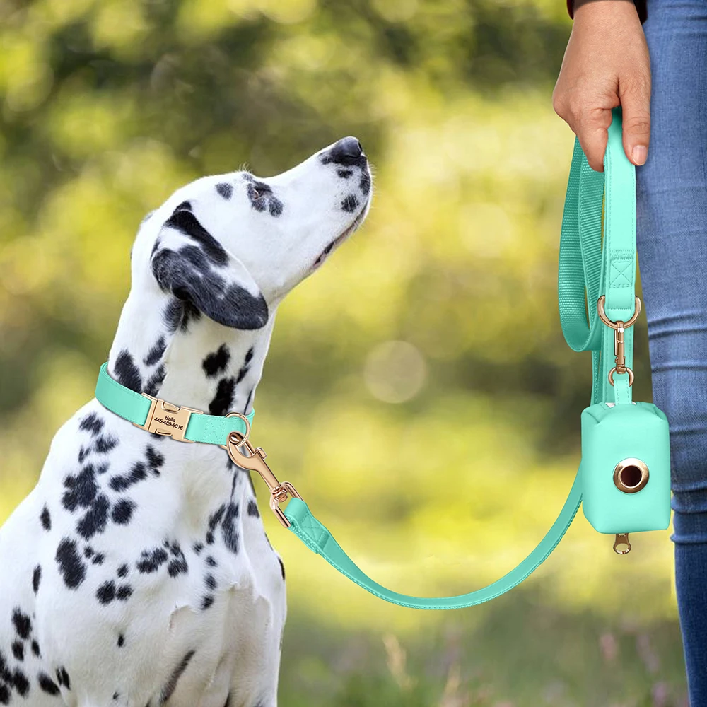 3pcs/lot Dog Collar Leash Bag Set Personalized Dog Collars Custom PU Leather Pet Buckle Necklace With Lead Poop Bag for Dogs Pug view 5