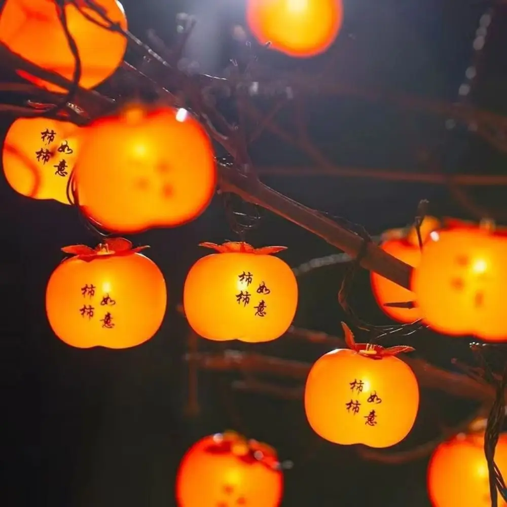 أضواء LED مقاومة للماء Ruyi مصباح LED فائق السطوع 20 فوانيس حمراء موفرة للطاقة يعمل بمنفذ USB ضوء البرسيمون ديكور العطلة