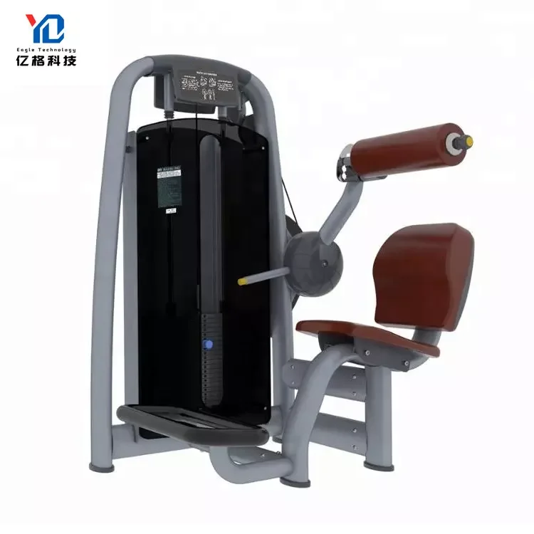 

YG-2006 YG Fitness Professional Seated Lower Back Machine Strength Trainer Back Extension Bench Roman Chair Back Extension