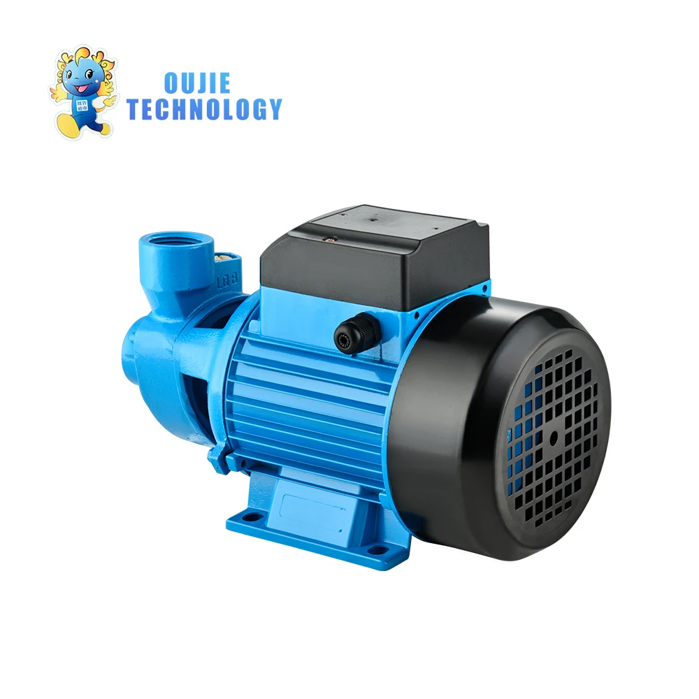 

OJ Tech 0.7-1.5 hp Water Pump QB70 AC Impeller Pumps OEM ODM CE