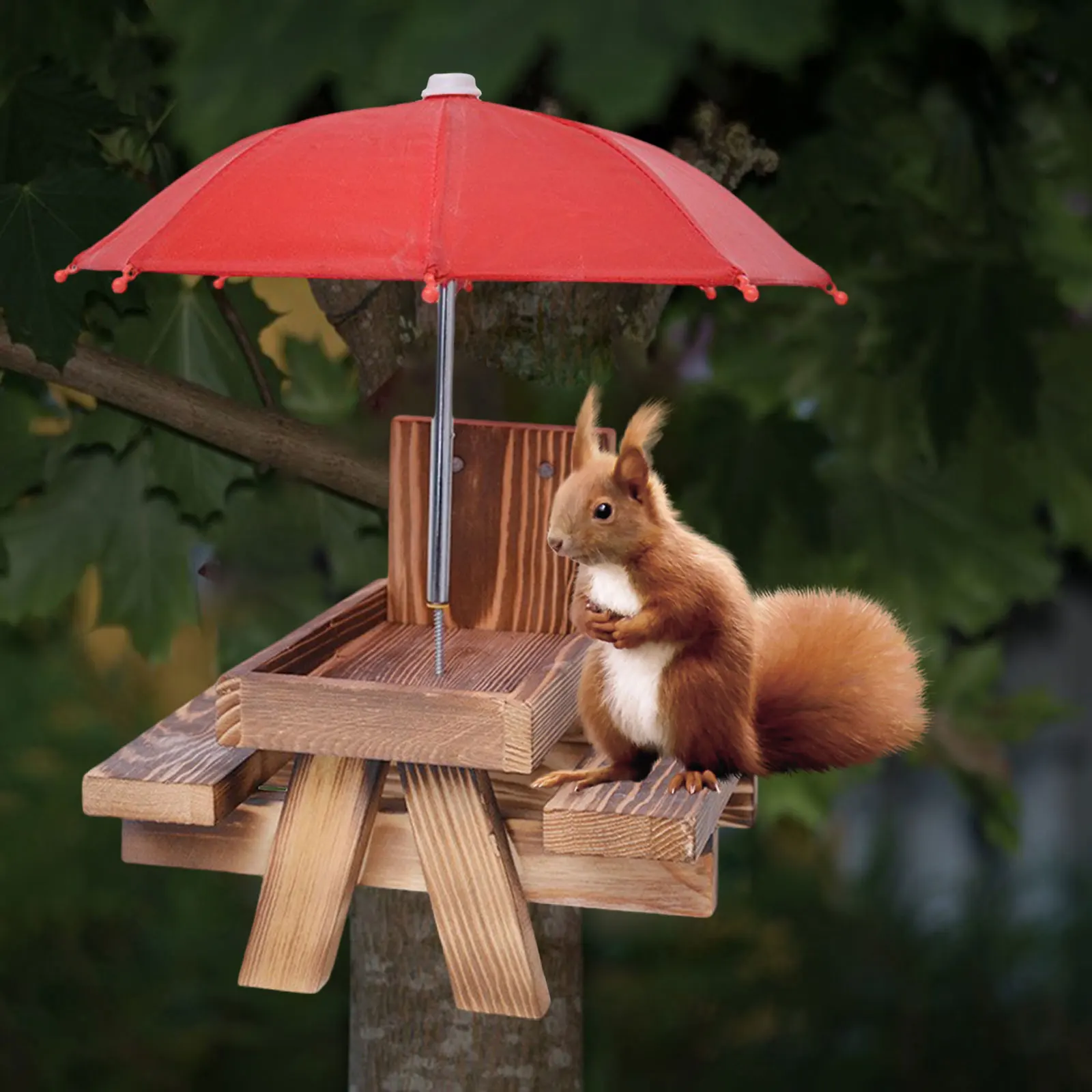 مغذي السنجاب الوظيفي ، مغذي السنجاب للفناء الخلفي ، مغذي السنجاب الخارجي مع مظلة ، هيكل صلب #3