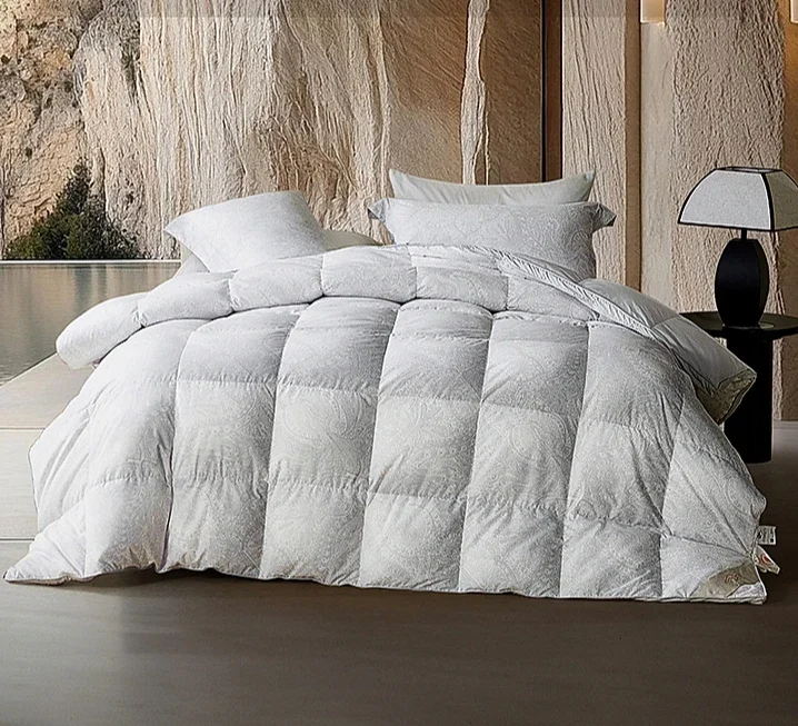 Down quilt bacteriostatic white goose down winter quilt warm quilt core autumn and winter bedding