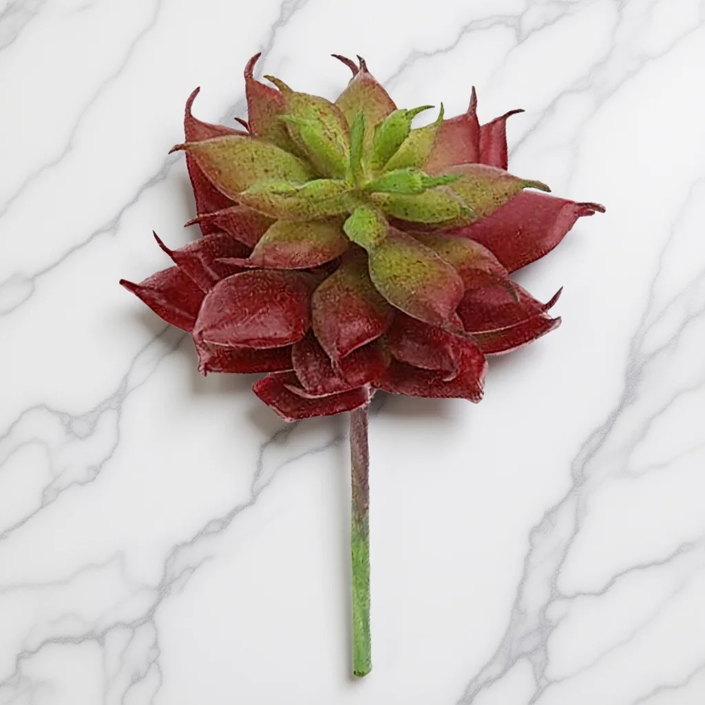 

Realistic Artificial Succulent Cactus Plastic Unpotted Small Reddish Brown for Home Garden Balcony Decoration Artificial