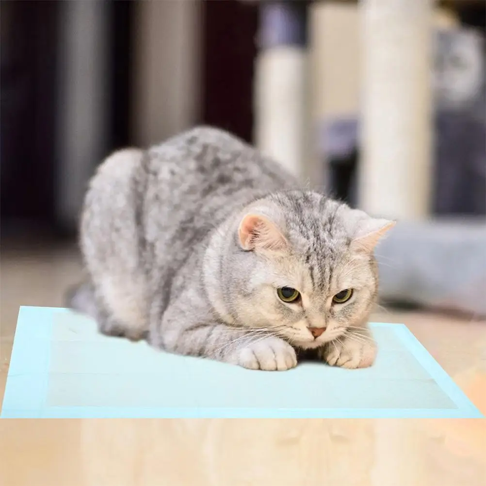 100 قطعة من بساط تدريب الحيوانات الأليفة، وسادات تبول كبيرة للكلاب، ملحقات نونية داخلية، فضلات نونية للفتيات