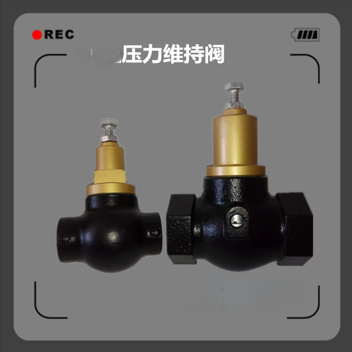 22KWSA22 Air Compressor Pressure Maintenance Valve 71111111-47001 Pressure Maintaining Valve 2605330921