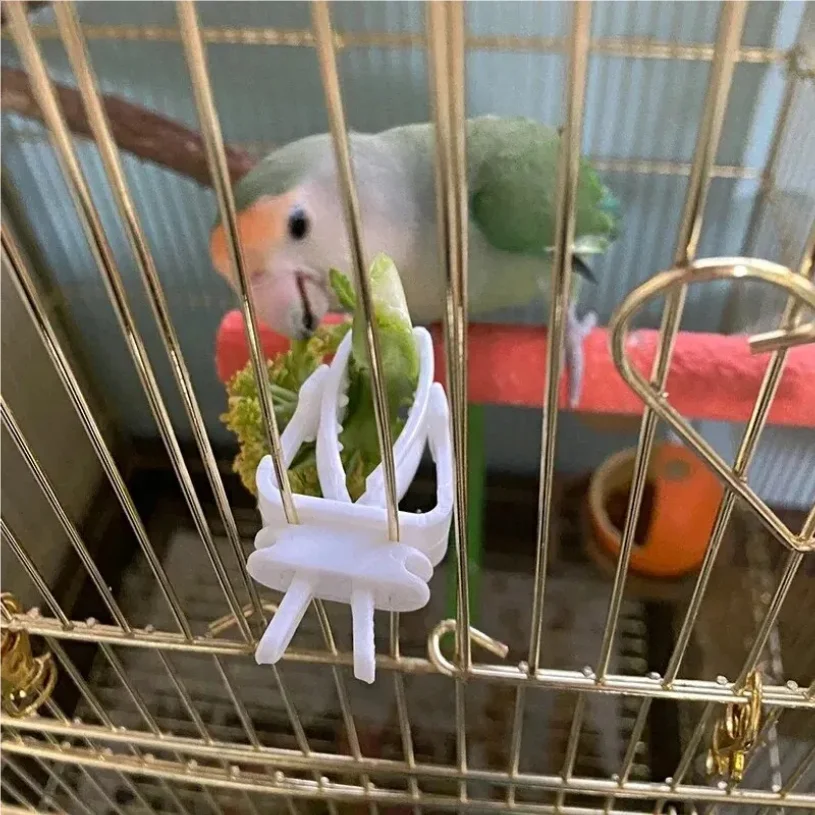 

Cute Small Pet Bird Food Holder Parrot Fruits Vegetables Clip Cuttlefish Bone Feeder Device Clamp Bird Cage Accessories Oiseaux