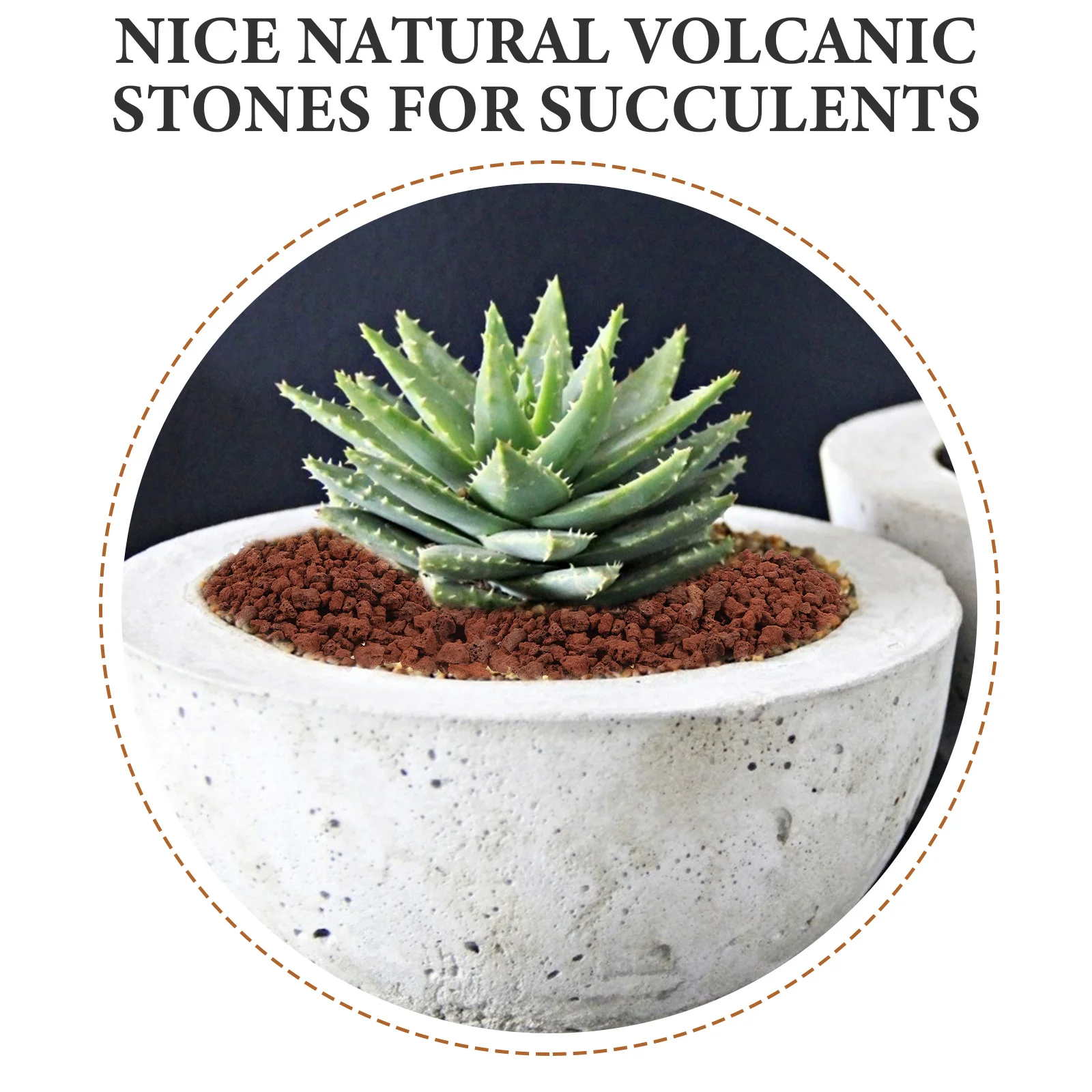 

5pcs Volcanic 300g for Flower Pot Decoration Garden L scaping Succulents Plants Bedding Aquarium Fish Tank Natural