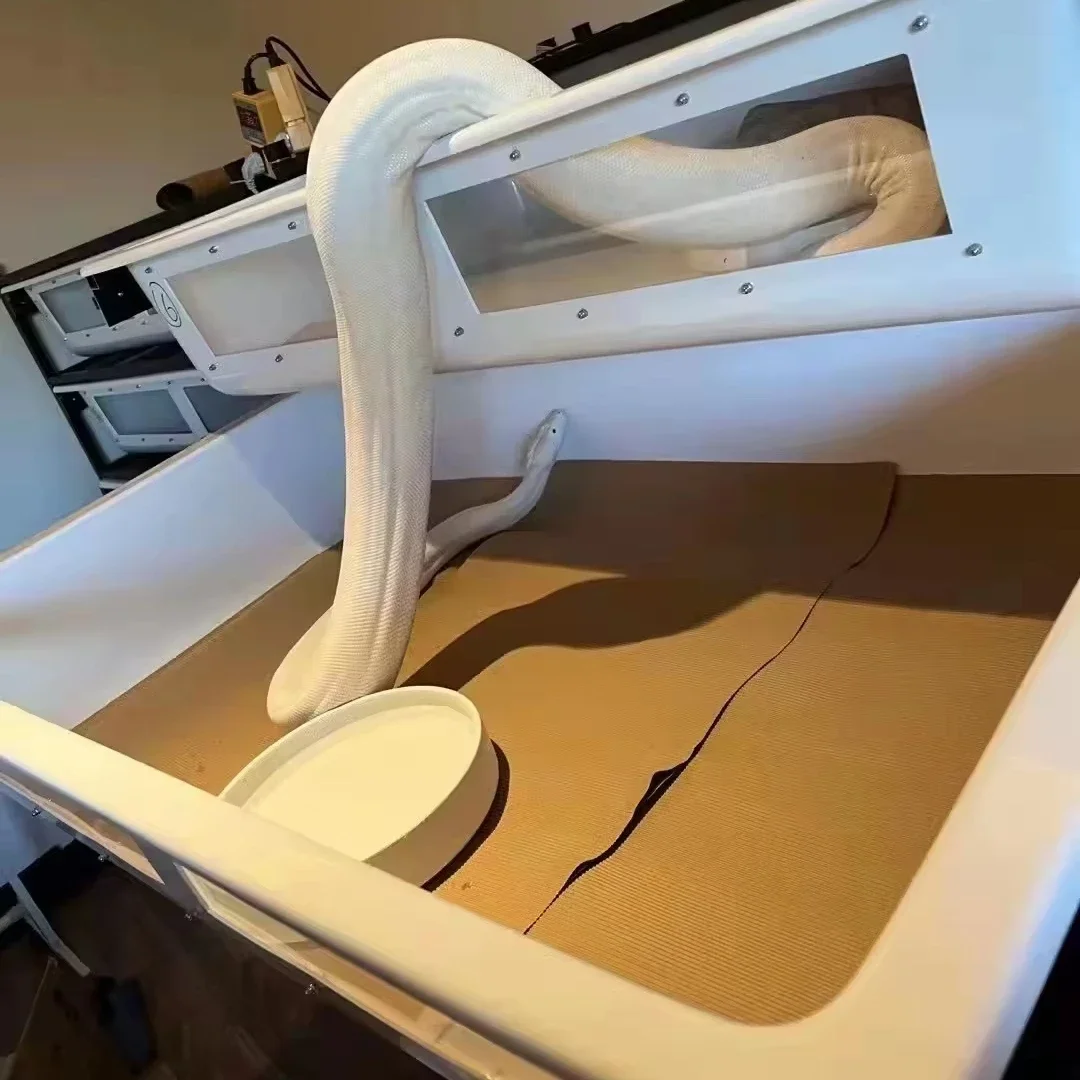 

Принадлежности Стойка для змей Лоток для кормления Ведро для раковины Ванна Стеллажи для демонстрации рептилий на ферме