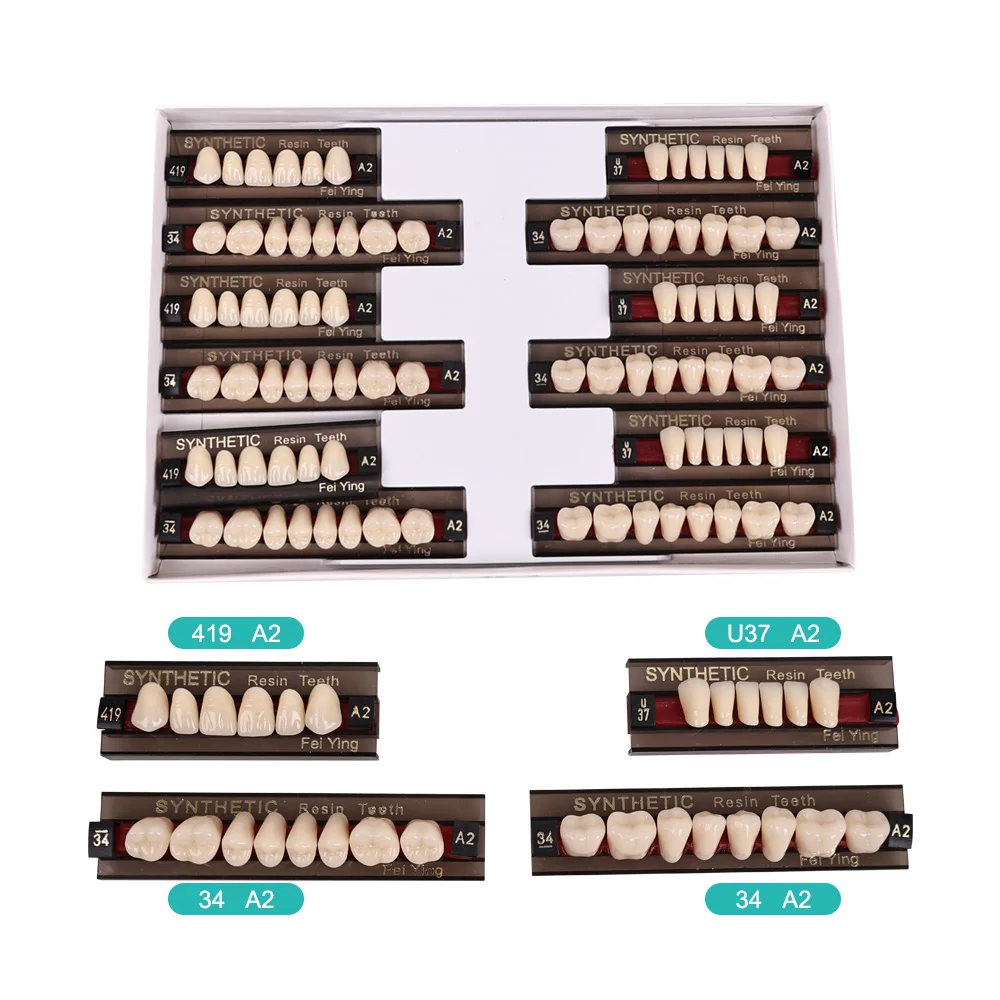 ELIJAH Dental Synthetic Resin Teeth Dental Denture Teeth Upper Anterior Lower Posterior Teeth Acrylic A2 A3 2 Layers