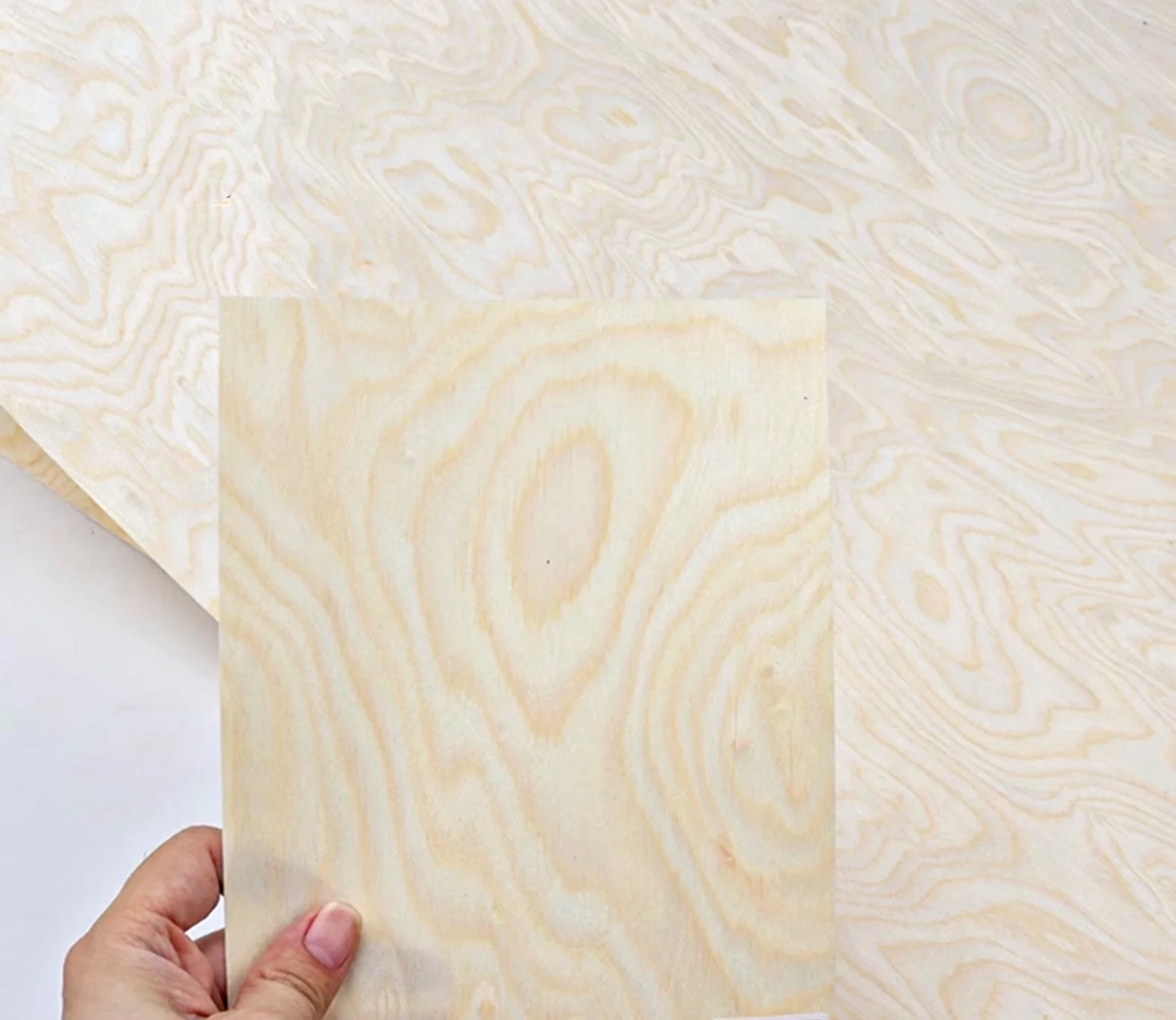 Premium Engineered Speaker Guitar Wood Veneer Technology Bird's Eye Burl Wood Veneer L:2.5Meters Width:58cm T:0.25mm T:0.5mm