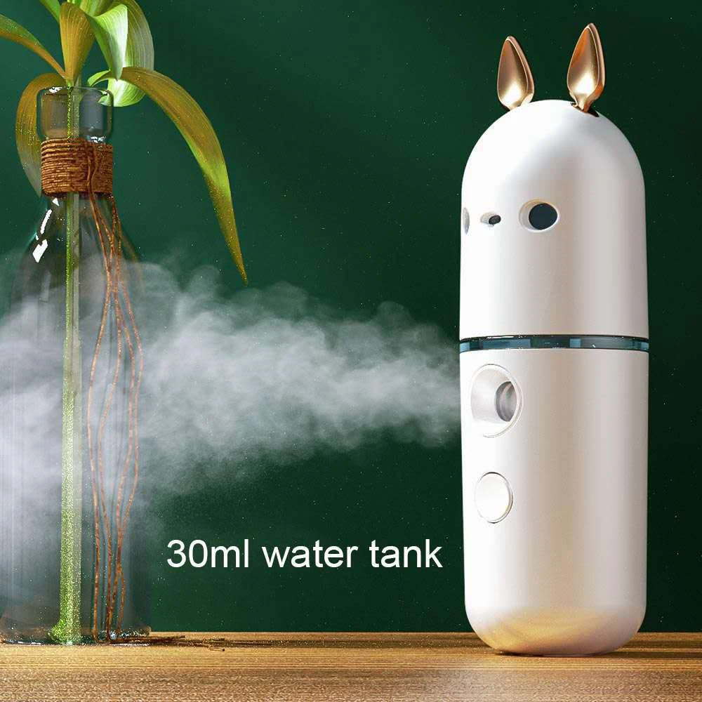 Nano Gesichts Sprayer Mini USB Aufladbare Luftbefeuchter Gesicht Dampfer Vernebler Feuchtigkeits Schönheit Instrumente Hautpflege Werkzeug