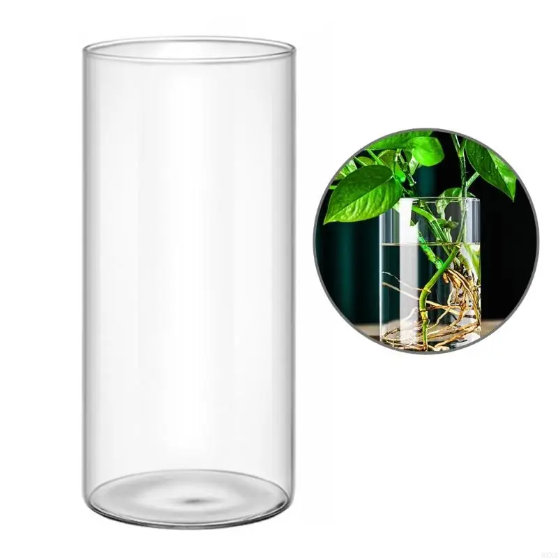 0XXA Clear Glass Stand Glass Cylinder Vase Holder Create Uniques Setting for Bedroom Office Decorations