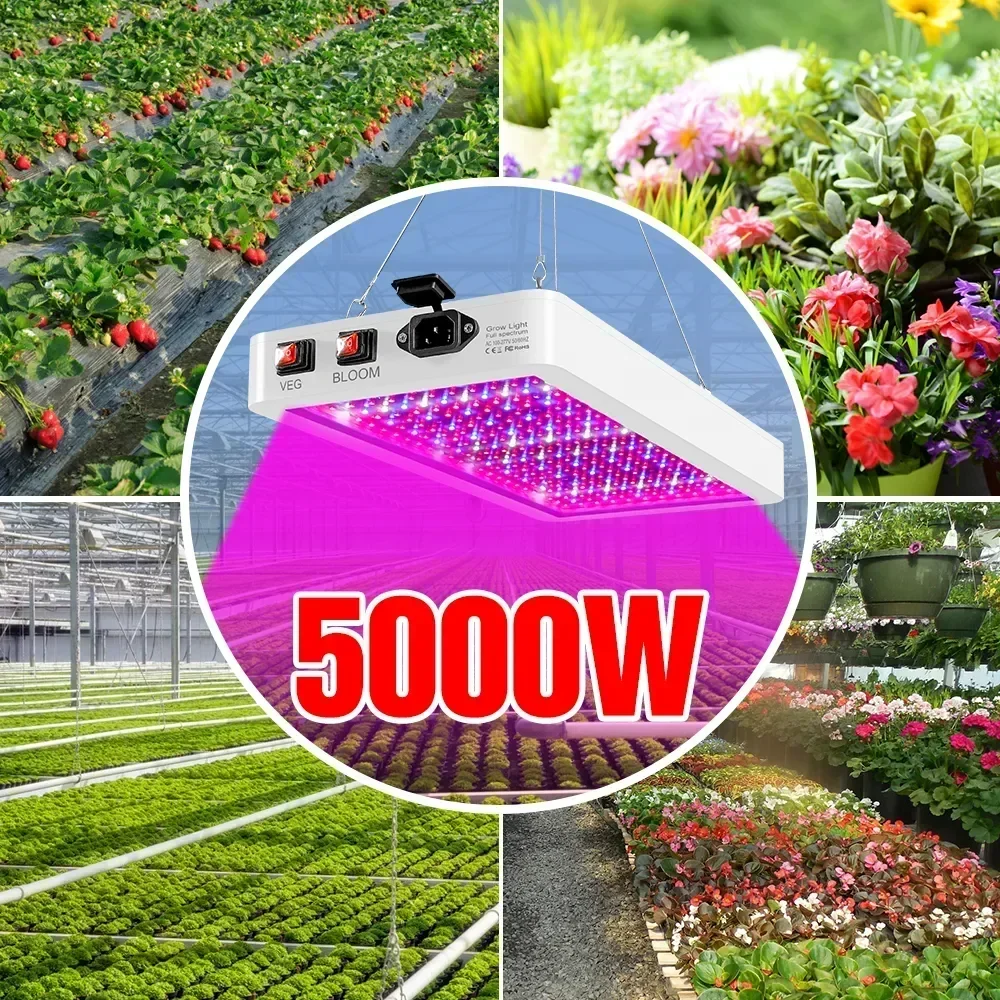 หลอดไฟ LED แบบเต็มสเปกตรัม4000/5000W ใหม่ล่าสุดสำหรับปลูกพืช IP65หลอดไฟไฮโดรโปนิกส์โคมไฟเรือนกระจกการเจริญเติบโตของดอกไม้กล่องไฟ