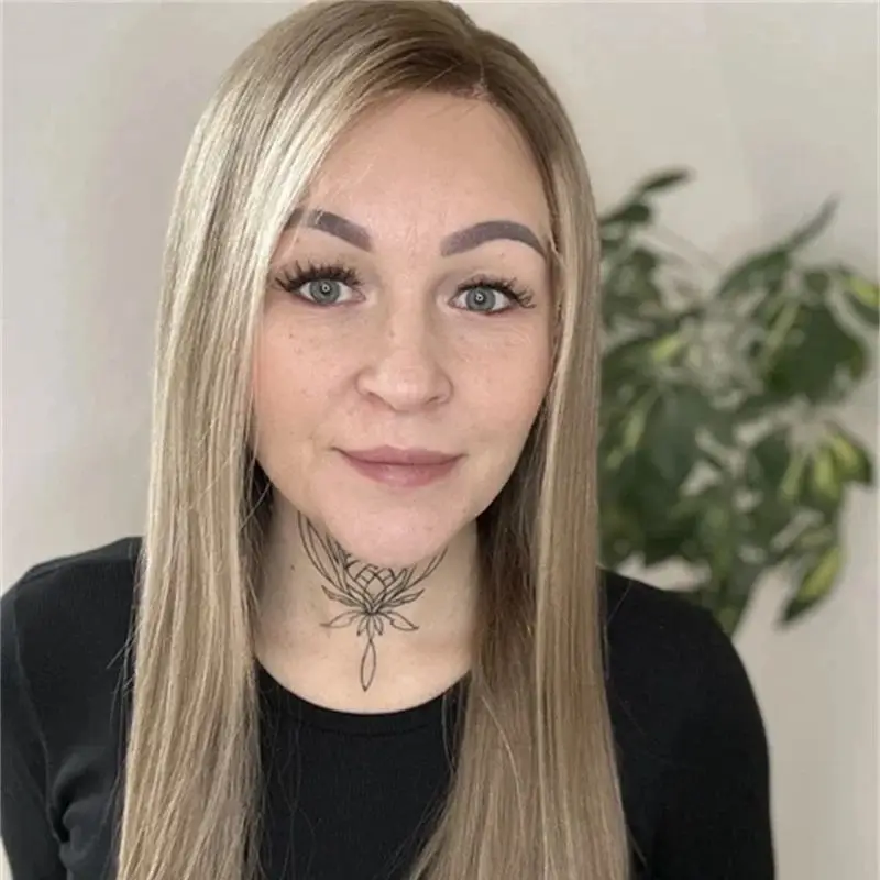 

24 Inch Synthetic Lace Front Wig Pre plucked Natural Hairline Mixed with Human Hair Ombre Brown Blonde Straight Lace Front Wigs