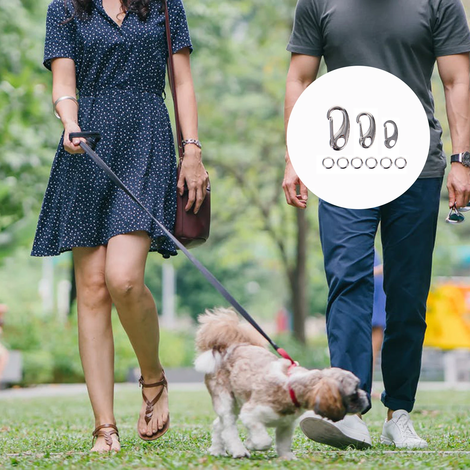 

3Pcs Stainless Steel Pet Collar Tag Clip Quick Split Hooks Durable Lightweight for Dog Cat Harness Key Chain Jewelry Accessories