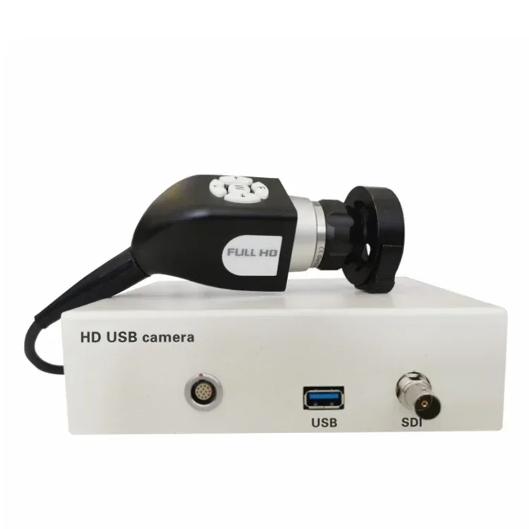 Ent//Urology Medica…