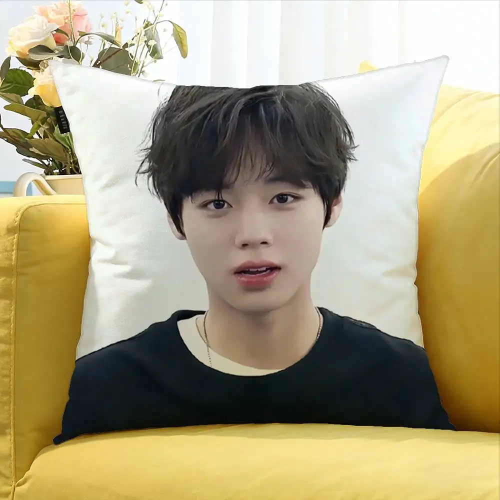 Handsome Talented Idol P-Park Ji-Hoon Various Sizes Square Pillow Case For Car Home Bedchamber Decor