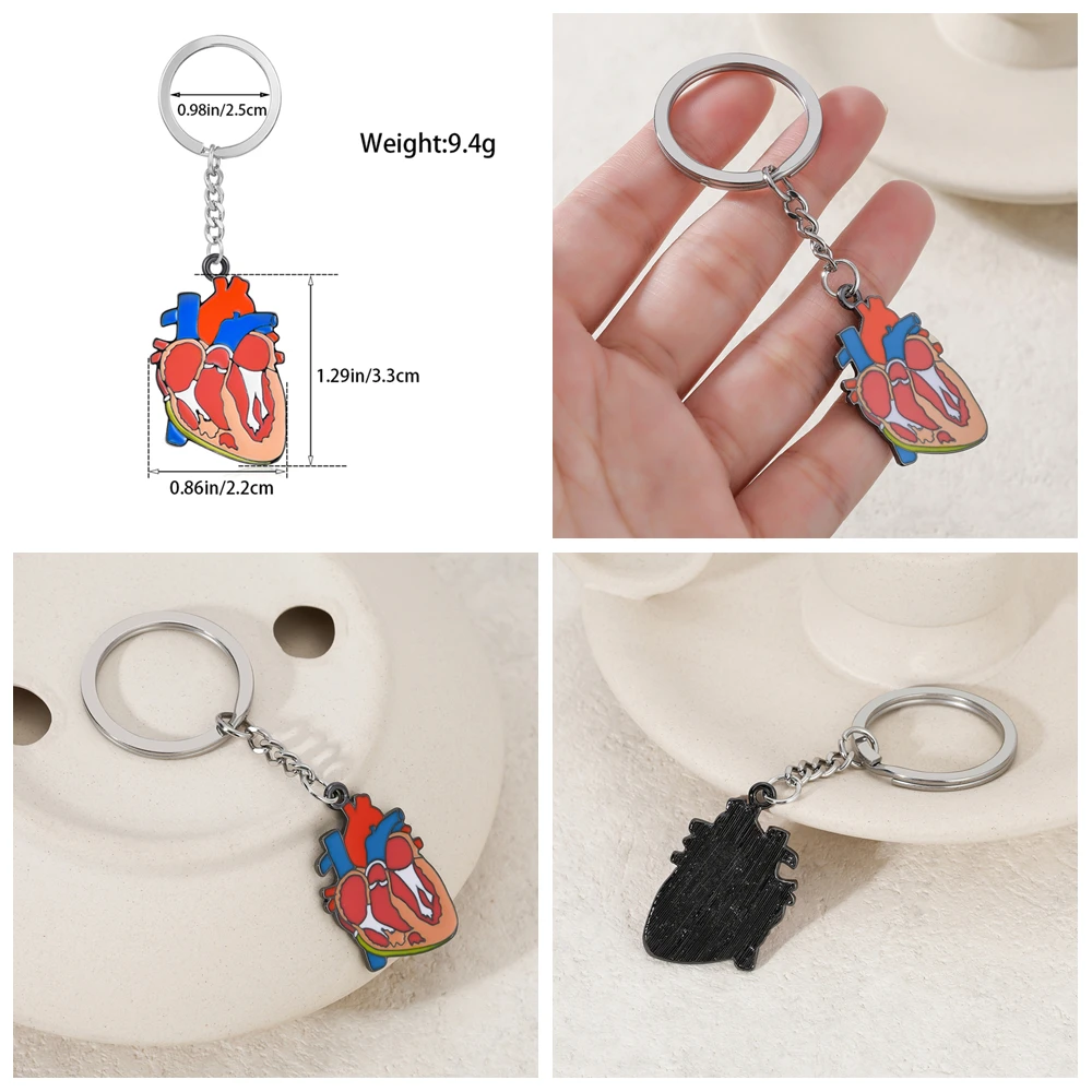 Hanreshe Medical Charm Keychain Set Stethoscope Heart Lung Pendants Keyring for Doctor Nurse Backpack Bag Key Chian Jewelry view 2