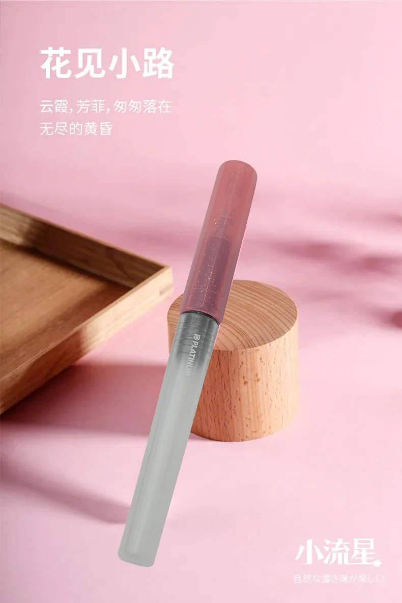 Ji Yu Limited Little Meteor Student Pen, mattierter sechseckiger Stifthalter, verschiebbarer Siegel, Stiftkappe, eine Aufnahme japanischer Platin – Detail 9