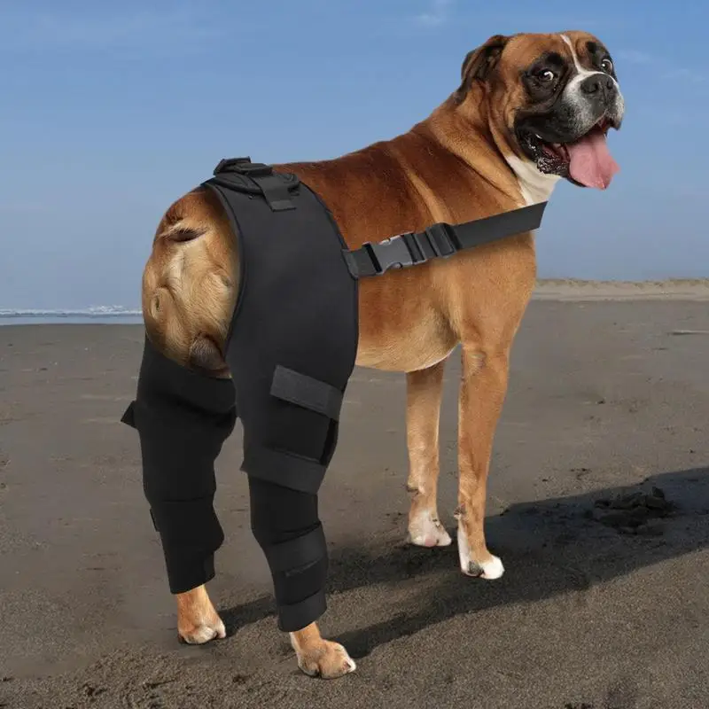 Dog Hip Brace Adjustable Pet Dog Legs Protector Supporter Knee Brace Rear Leg Support Joint Wrap for Dogs Legs Recover