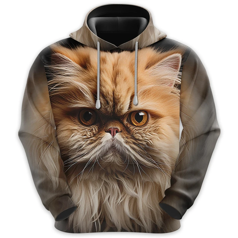 Scottish Fold Graphic Sweatshirts Women Clothes Cat Face Design Hoodies For Men Funny Cats Tracksuit Shorthair Hoodie Unisex Top