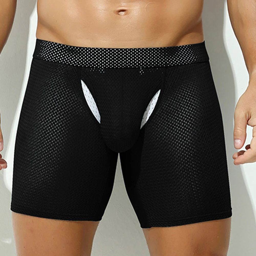 Sports Activities S XL Low Waist Underwear Mens Sexy Pouch Underpants Breathable Mesh Underpants 88 Polyamide, 12 Spandex