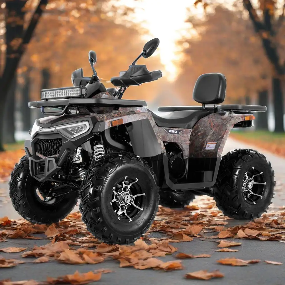 Tao Motor 2025 New Automatic  Farm Truck Raptor Quad Bike 4 Stroke Engine 4x4 ATV 250cc for Adult