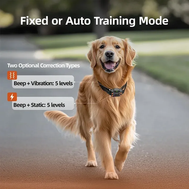 Thumbnail 4 - #78 Puppy Training Collars Comparison Guide
