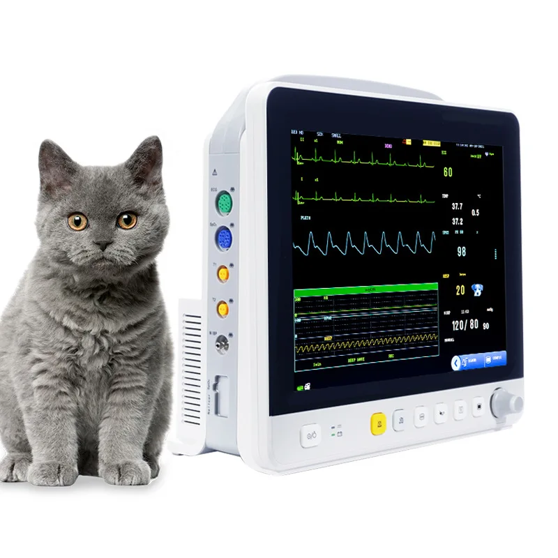 -Veterinary Monitor-Ve12 Veterinary Pet 10-Inch Multi-Parameter Monitor